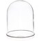 Plymor 4" x 5.5" Glass Display Dome Cloche (Silver Rim Glass Tray Base)